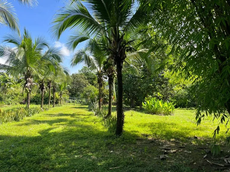 Perla Tropical Rio Seco: Great Opportunity for Sale with reduced price