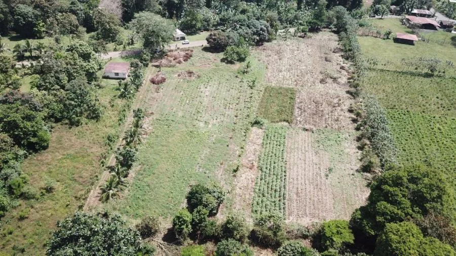 Venta de más de 3 hectáreas en Horquetas de Sarapiquí - Venta en Sarapiquí
