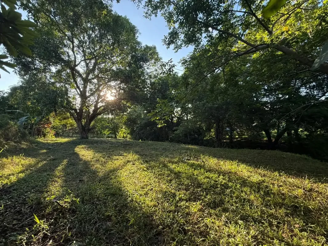 LOTE EN VENTA – CUATRO ESQUINAS, OROTINA #1