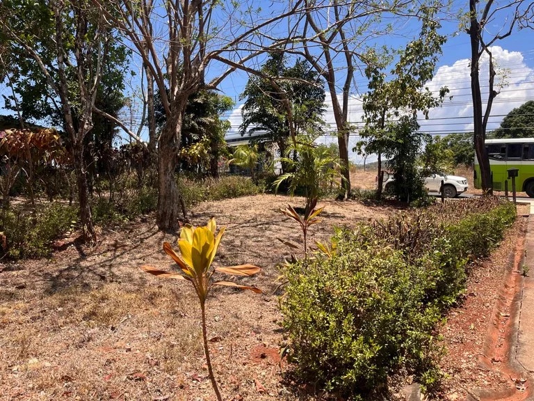 Build-Ready Flat Lot with Utilities in Carrillo, 5-min walk to Carrillo beach, photo 7