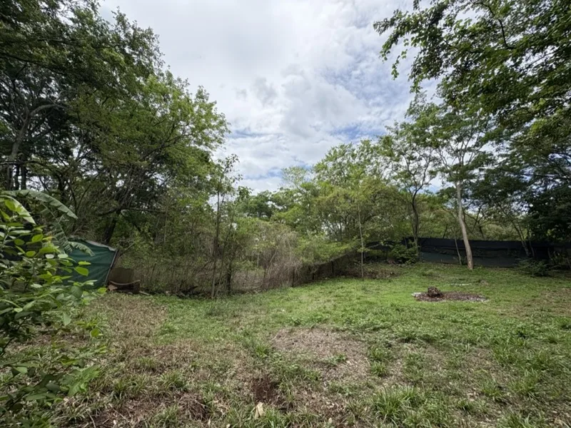 2 Bed Single Family Homes For Sale in Tamarindo, photo 15