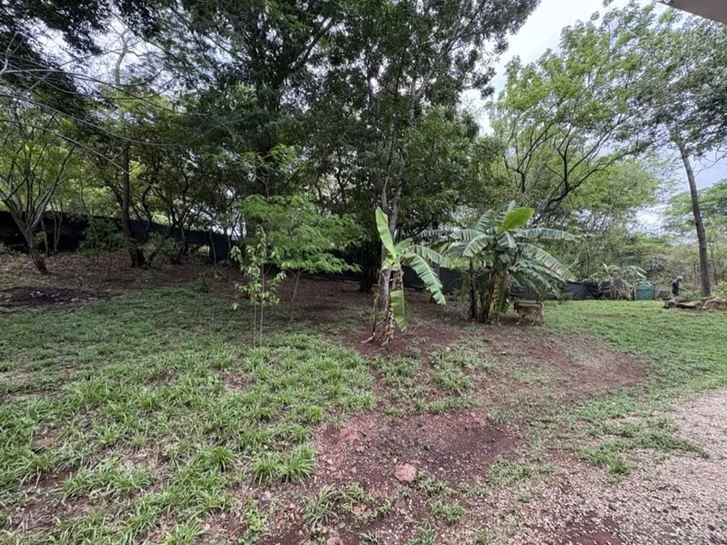 2 Bed Single Family Homes For Sale in Tamarindo, photo 3