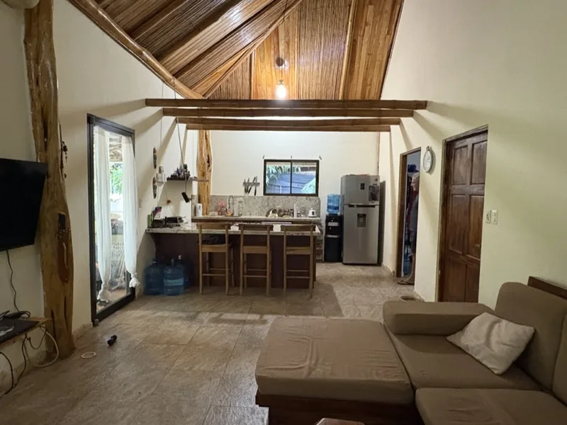 2 Bed Single Family Homes For Sale in Tamarindo, photo 7
