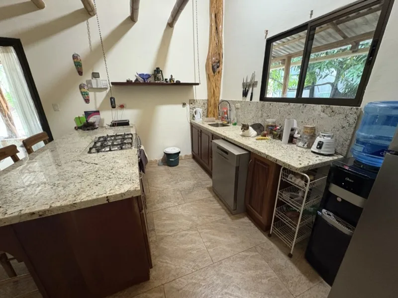 2 Bed Single Family Homes For Sale in Tamarindo, photo 9