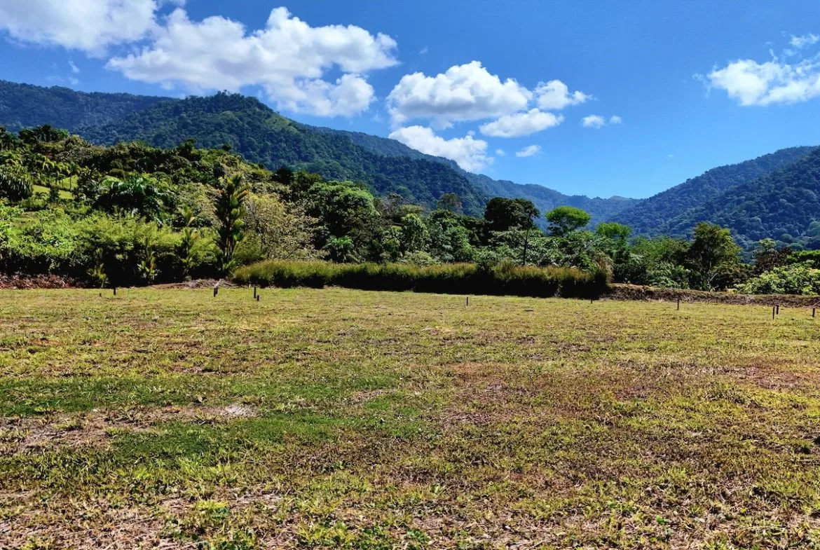 BUILDING LOT READY TO BUILD, IN TRES RIOS – 1.31 ACRES, photo 12