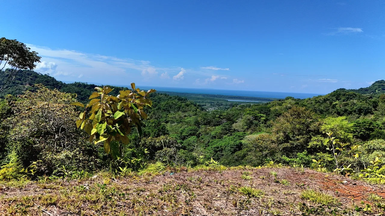 BUILDING LOT READY TO BUILD, IN TRES RIOS – 1.31 ACRES, photo 15
