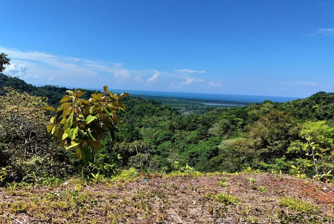 BUILDING LOT READY TO BUILD, IN TRES RIOS – 1.31 ACRES, photo 16