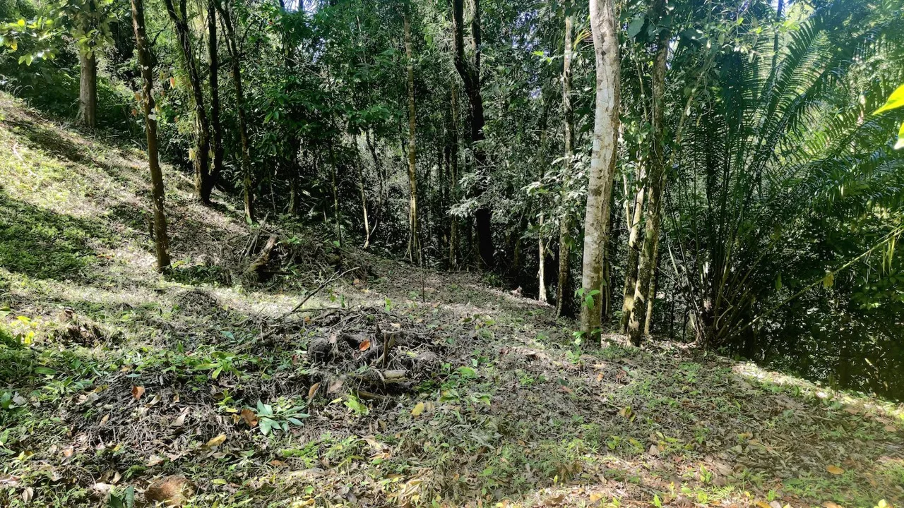 BUILDING LOT READY TO BUILD, IN TRES RIOS – 1.31 ACRES, photo 17