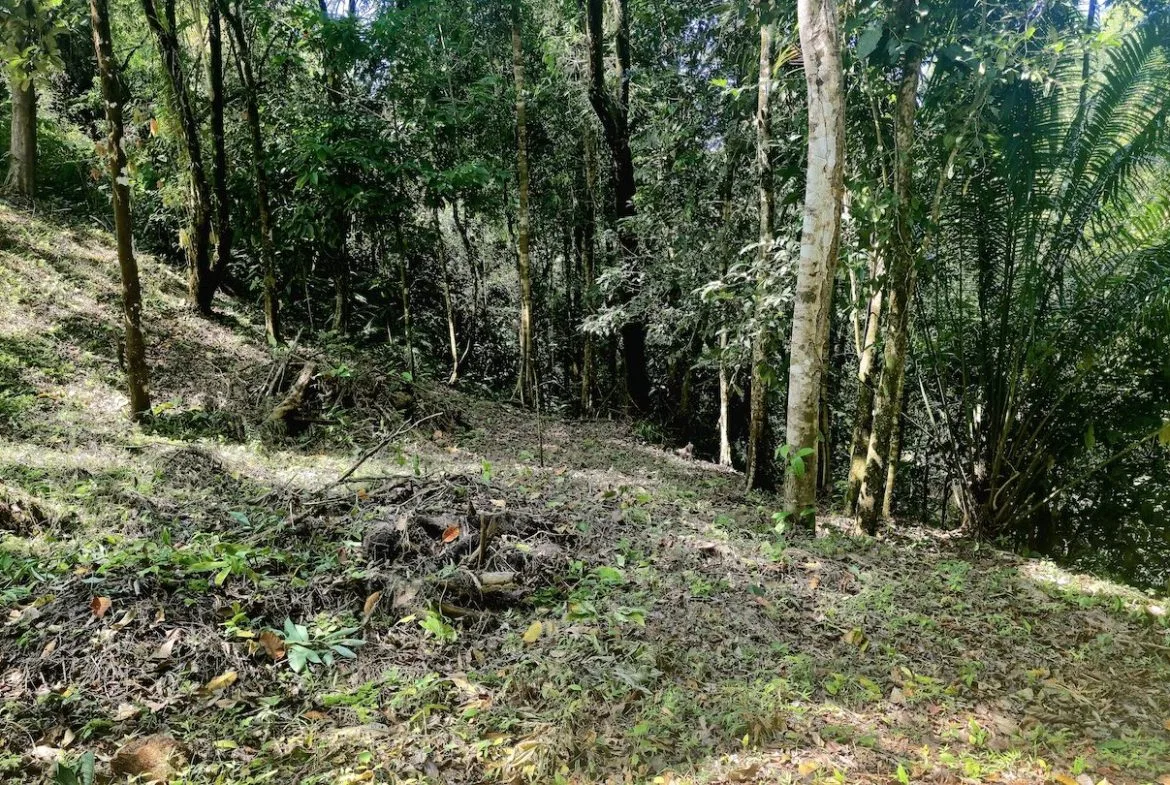 BUILDING LOT READY TO BUILD, IN TRES RIOS – 1.31 ACRES, photo 18