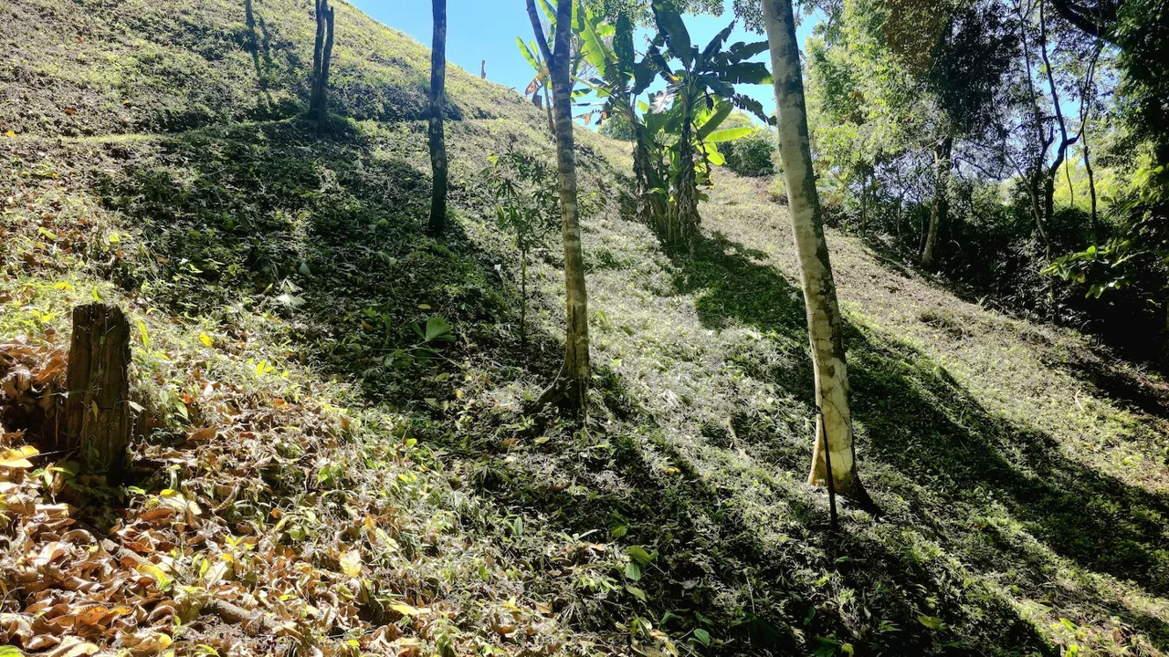 BUILDING LOT READY TO BUILD, IN TRES RIOS – 1.31 ACRES, photo 19