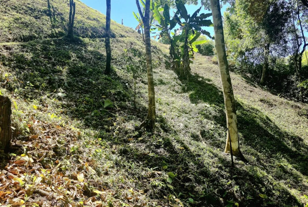 BUILDING LOT READY TO BUILD, IN TRES RIOS – 1.31 ACRES, photo 20