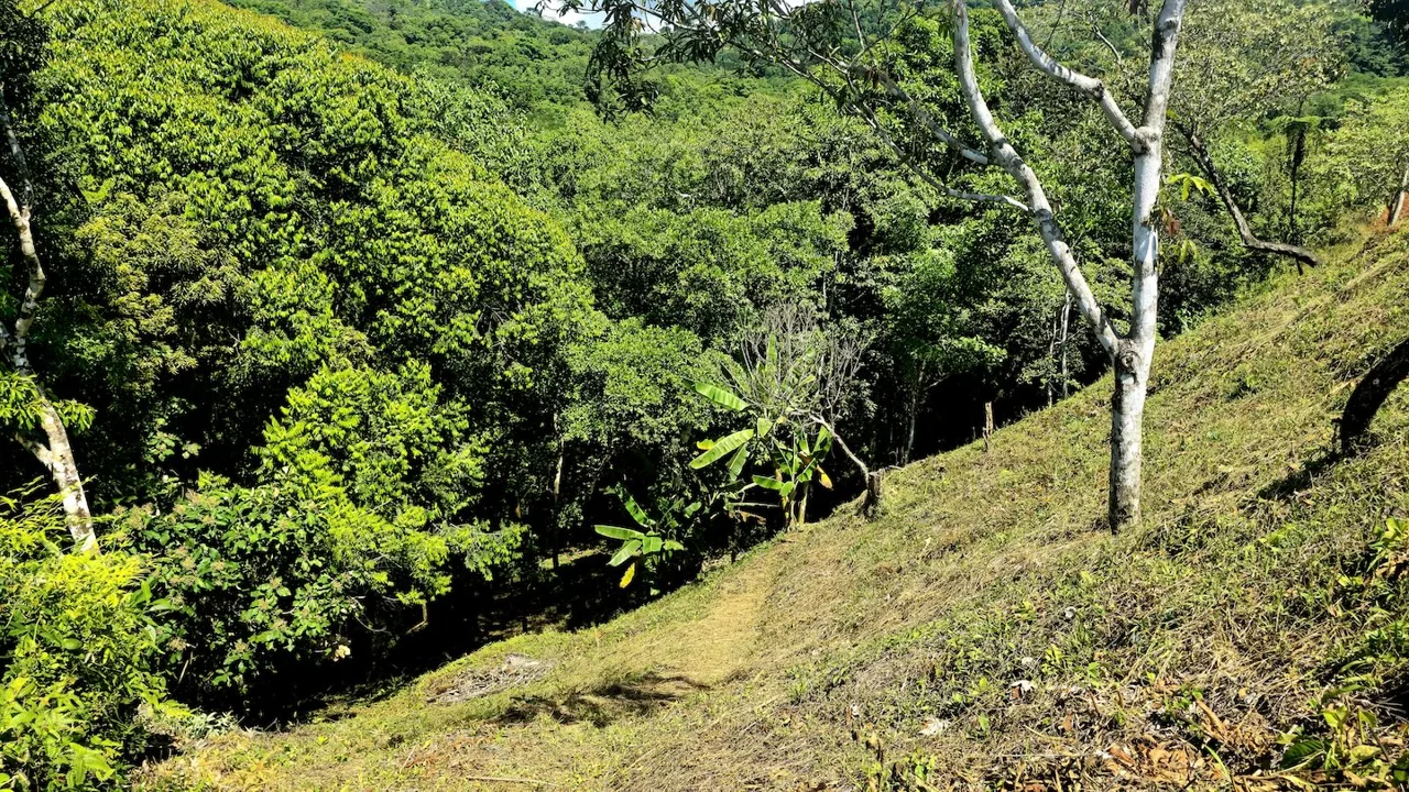 BUILDING LOT READY TO BUILD, IN TRES RIOS – 1.31 ACRES, photo 21