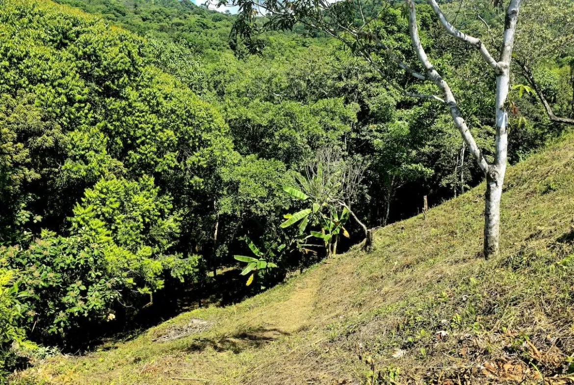 BUILDING LOT READY TO BUILD, IN TRES RIOS – 1.31 ACRES, photo 22