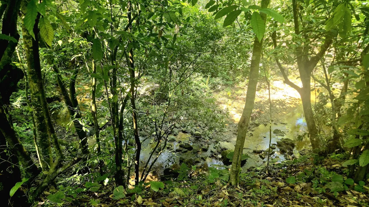 BUILDING LOT READY TO BUILD, IN TRES RIOS – 1.31 ACRES, photo 23