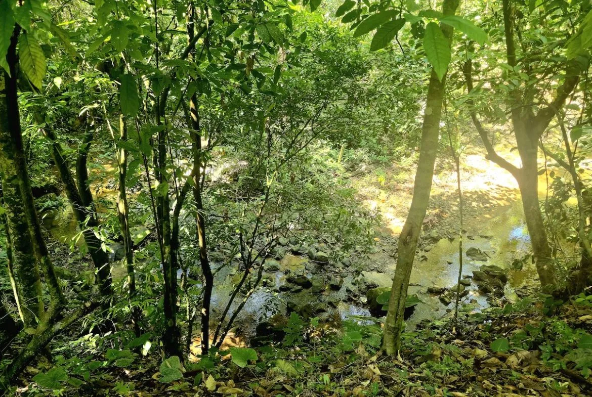 BUILDING LOT READY TO BUILD, IN TRES RIOS – 1.31 ACRES, photo 24