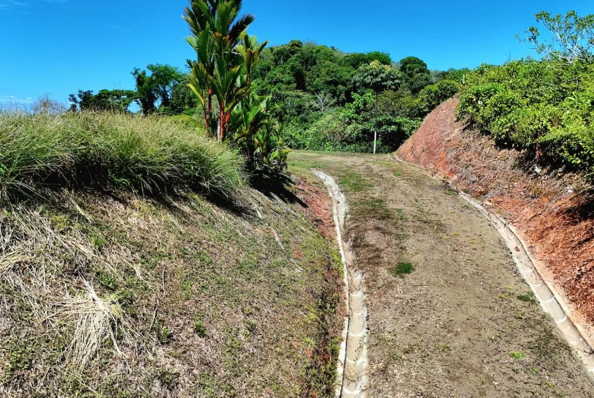 BUILDING LOT READY TO BUILD, IN TRES RIOS – 1.31 ACRES, photo 6