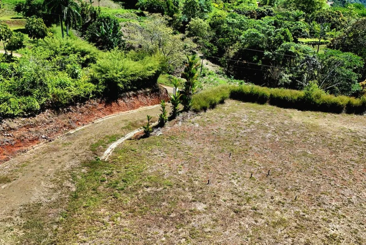 BUILDING LOT READY TO BUILD, IN TRES RIOS – 1.31 ACRES, photo 8