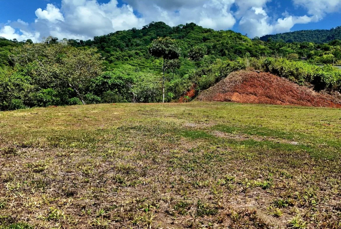 BUILDING LOT READY TO BUILD, IN TRES RIOS – 1.31 ACRES, photo 10