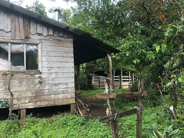 Rural-Agricultural Area in Cañas, photo 2