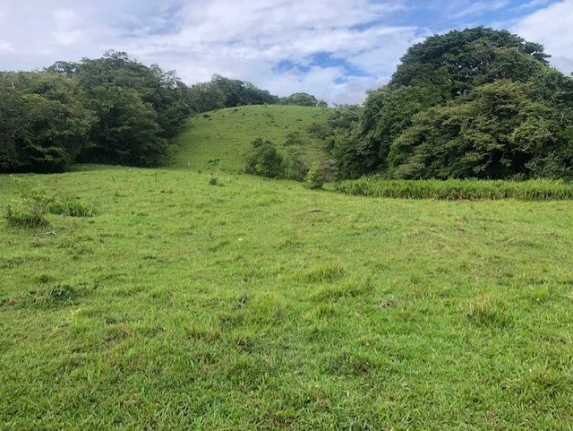 Rural-Agricultural Area in Cañas, photo 11