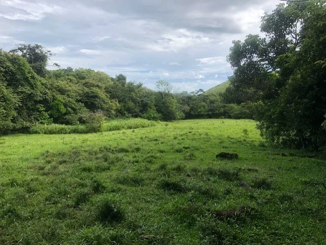 Rural-Agricultural Area in Cañas, photo 14