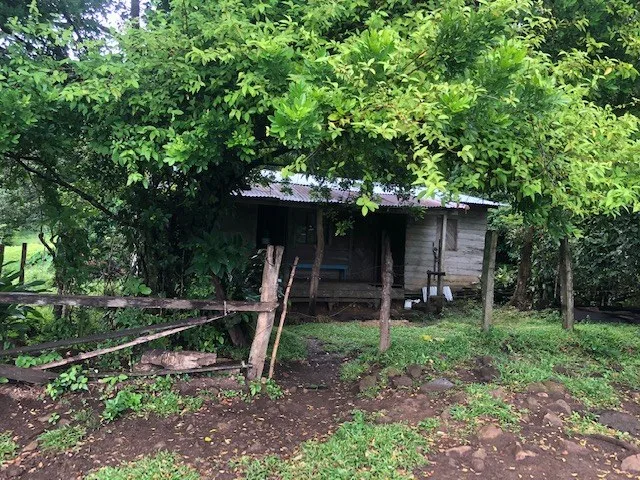 Rural-Agricultural Area in Cañas, photo 3