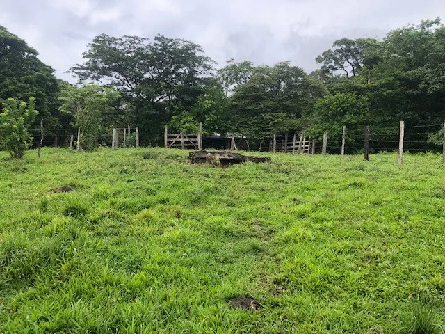 Rural-Agricultural Area in Cañas, photo 5