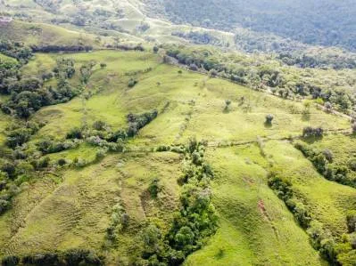 Tú Oportunidad de Inversión en General Viejo: Finca de 23 Hectáreas en el Paraíso