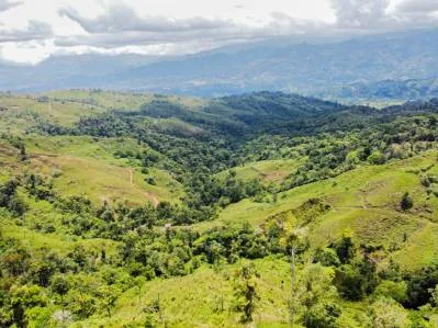 Tú Oportunidad de Inversión en General Viejo: Finca de 23 Hectáreas en el Paraíso, photo 2