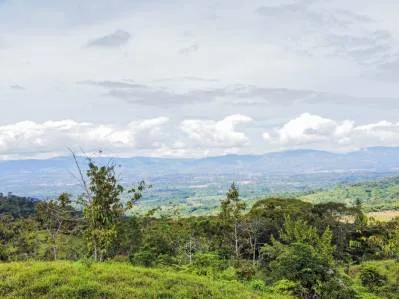 Tú Oportunidad de Inversión en General Viejo: Finca de 23 Hectáreas en el Paraíso, photo 3