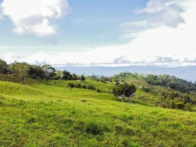 Tú Oportunidad de Inversión en General Viejo: Finca de 23 Hectáreas en el Paraíso, photo 4