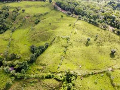 Tú Oportunidad de Inversión en General Viejo: Finca de 23 Hectáreas en el Paraíso, photo 5
