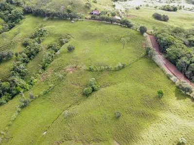 Tú Oportunidad de Inversión en General Viejo: Finca de 23 Hectáreas en el Paraíso, photo 6