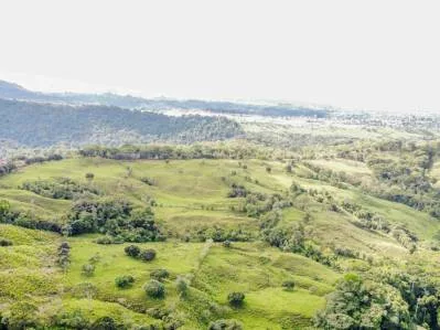 Tú Oportunidad de Inversión en General Viejo: Finca de 23 Hectáreas en el Paraíso, photo 7