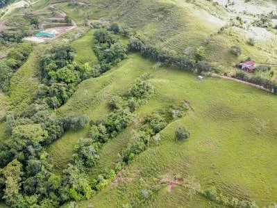 Tú Oportunidad de Inversión en General Viejo: Finca de 23 Hectáreas en el Paraíso, photo 8
