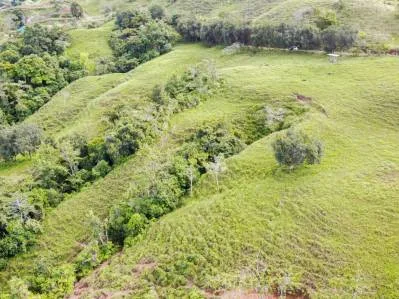 Tú Oportunidad de Inversión en General Viejo: Finca de 23 Hectáreas en el Paraíso, photo 9
