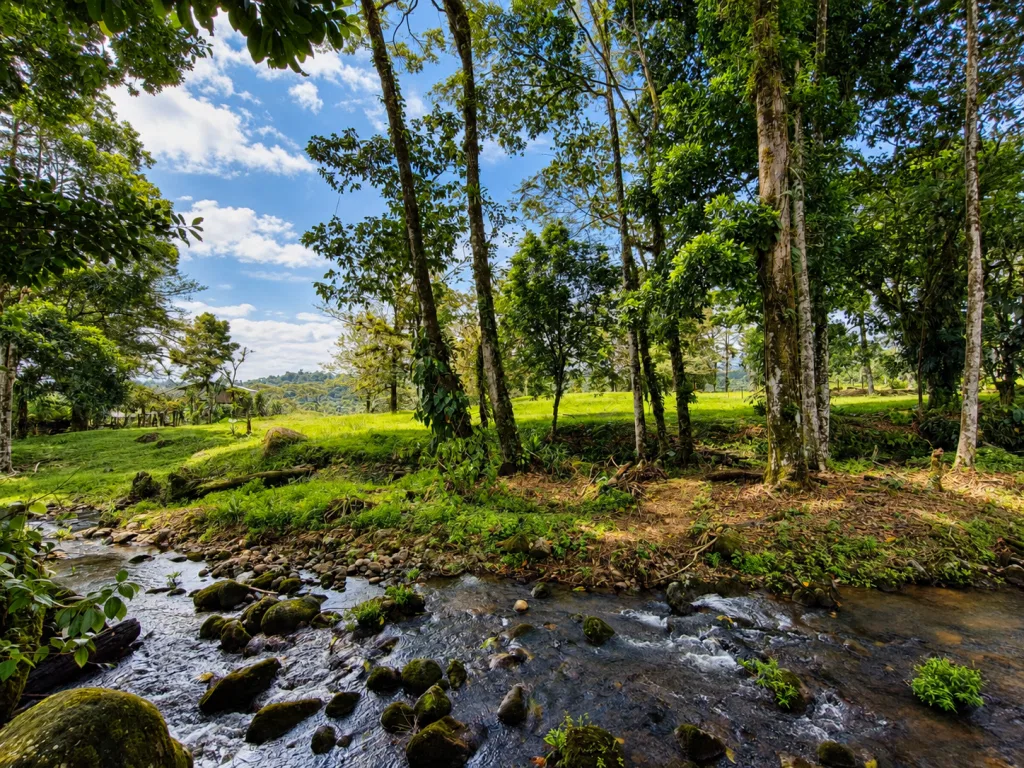 One Hectare Land with Creek for Sale in Guapiles