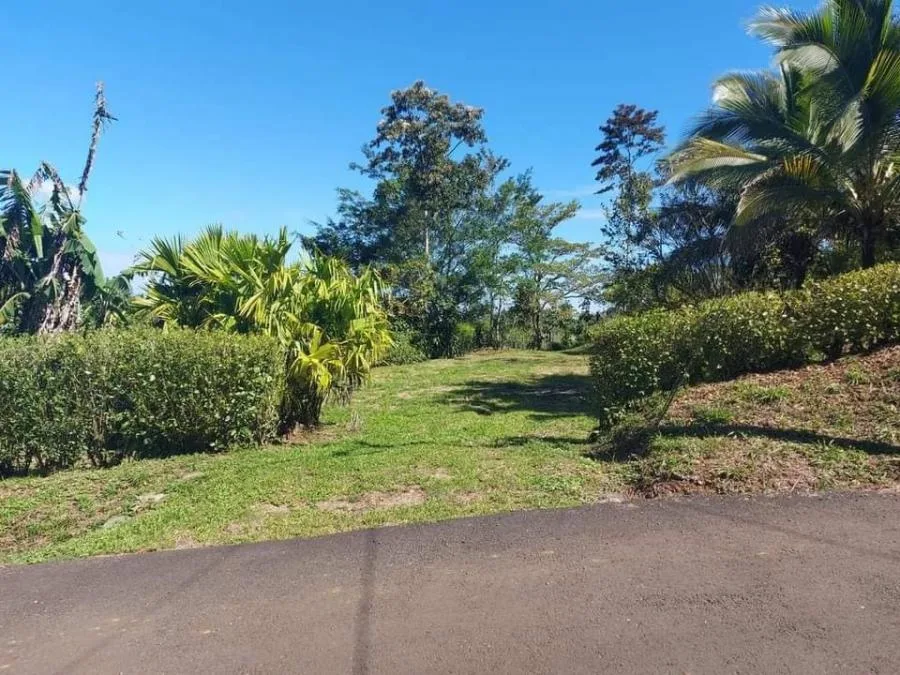Gran Oportunidad! &amp;#127775; Belleza de Lote en Florencia de San Carlos - &amp;#127969;&amp;#10024; Inversión - Venta en San Carlos