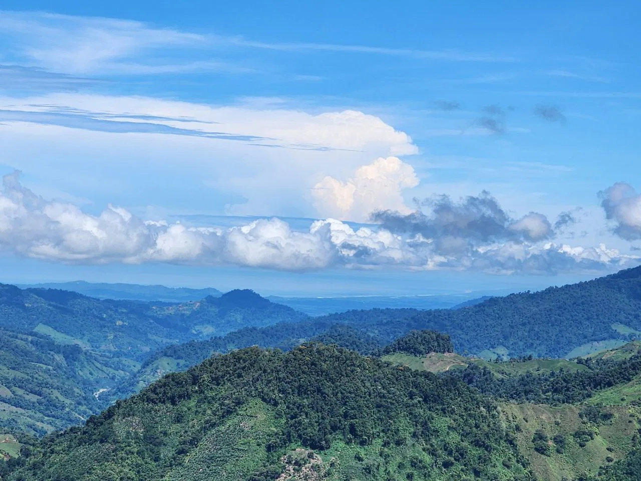 CATTLE FARM WITH HIGH POTENTIAL AND VIEWS OF THE SEA, RIVERS, MOUNTAINS AND CITY – 153 ACRES