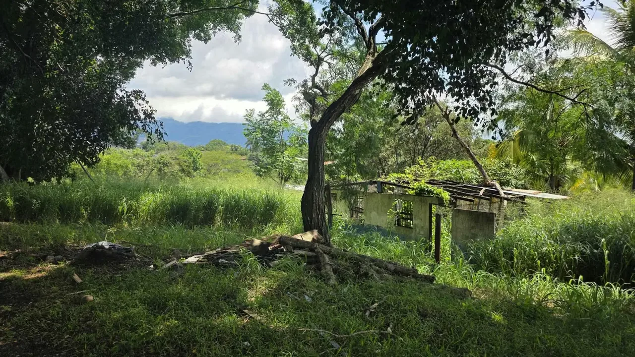 Land for sale for development in Pozos de Santa Ana., photo 11