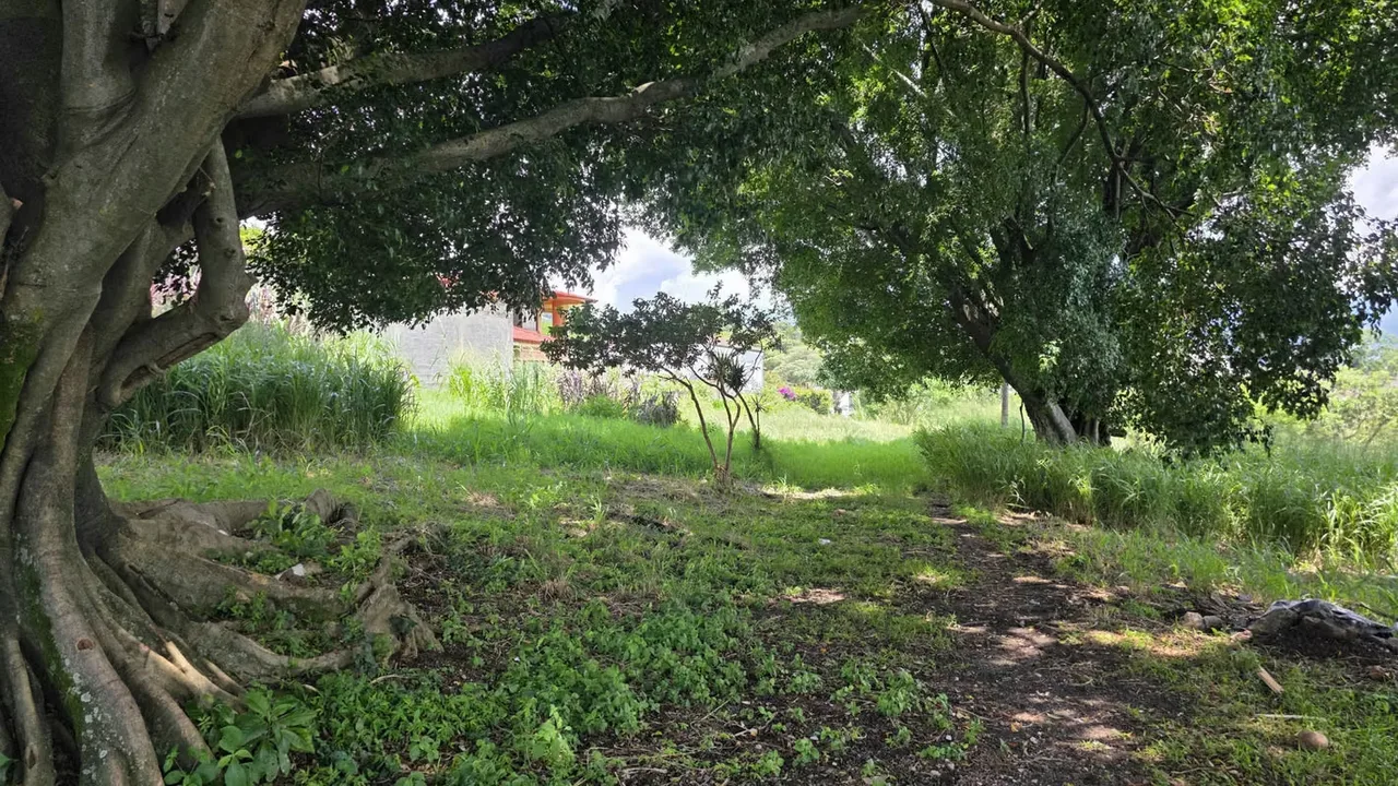 Land for sale for development in Pozos de Santa Ana., photo 12
