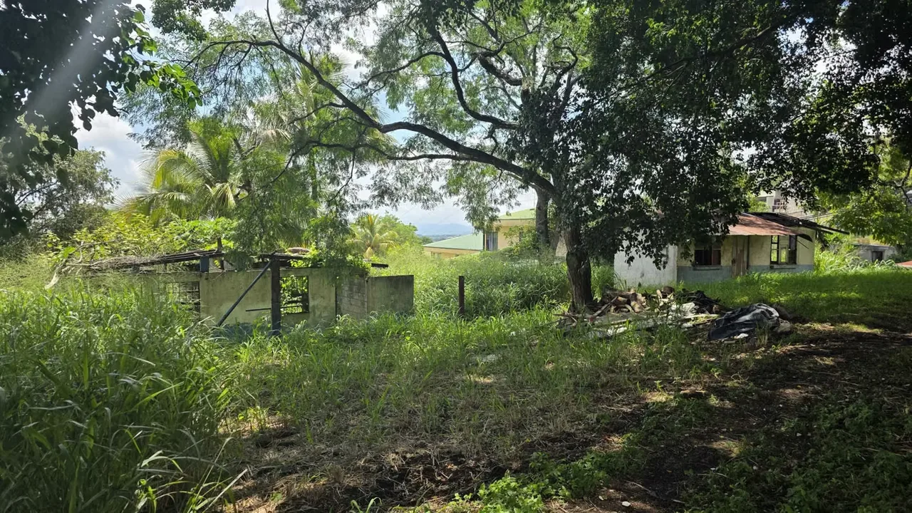 Land for sale for development in Pozos de Santa Ana., photo 9