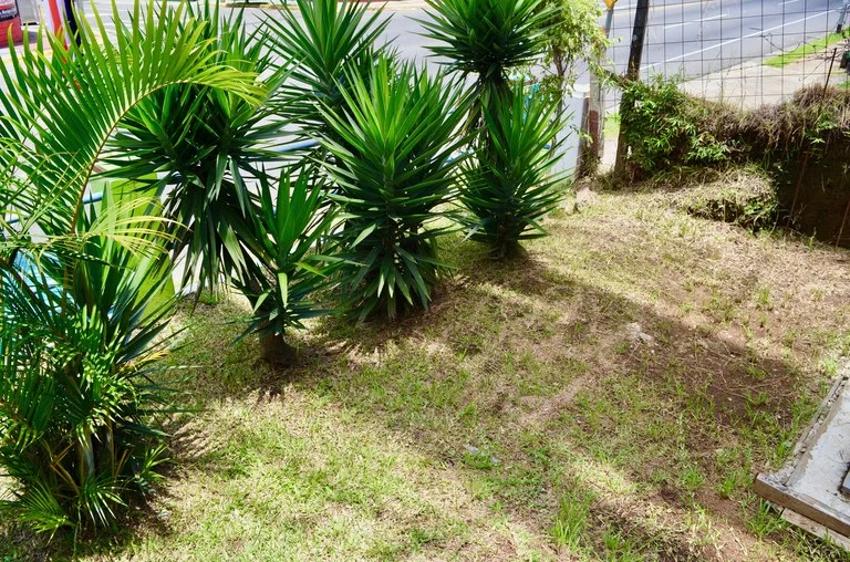 Development Parcel in San Francisco de San Isidro de Heredia, photo 6