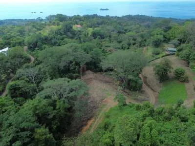 Santuario privado en la jungla, photo 2