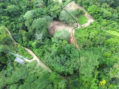 Santuario privado en la jungla, photo 3