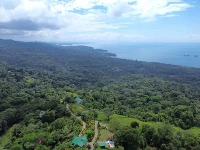 Santuario privado en la jungla, photo 4