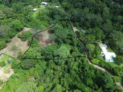 Santuario privado en la jungla, photo 5