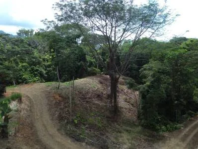 Santuario privado en la jungla, photo 6