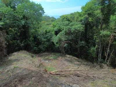 Santuario privado en la jungla, photo 7