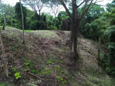 Santuario privado en la jungla, photo 8